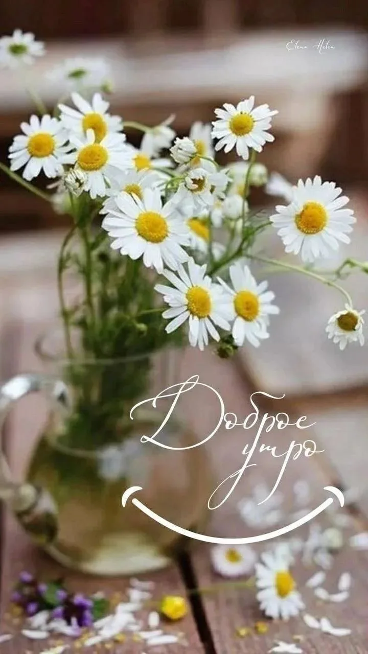 ✨❤️❤️❤️🍬✨

ДЛЯ ДУШИ! 🦋