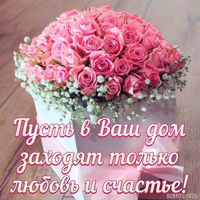 ОТКРЫТКИ