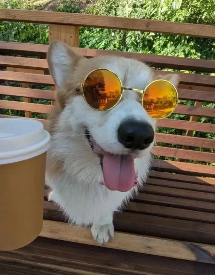 Джесси ❤️