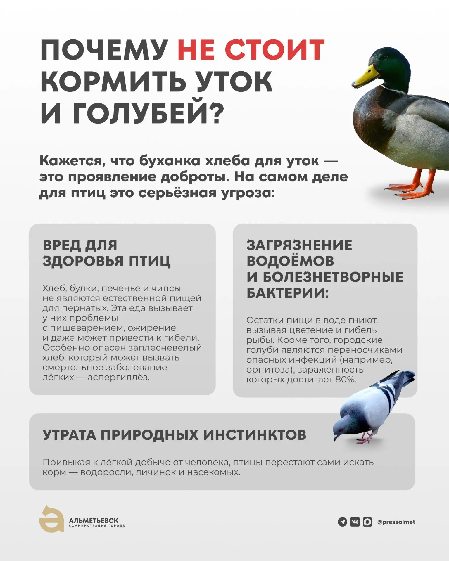 Ответственная забота
