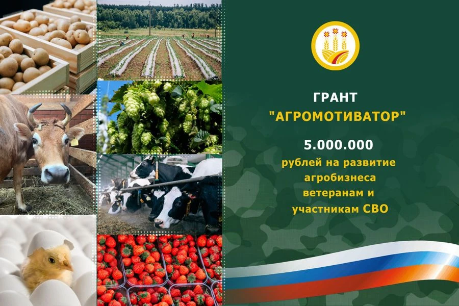 Участники и ветераны СВО, внимание!