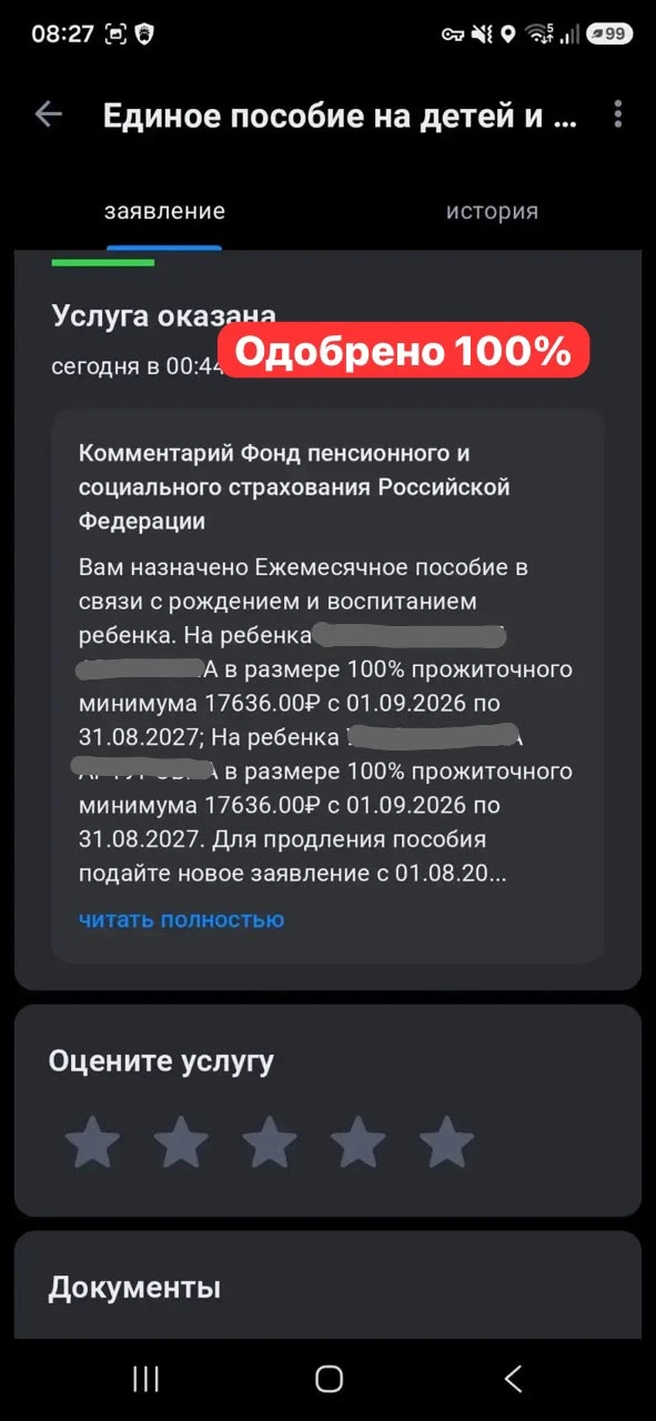 🎯 Кейс: как получить 100 % пособия на двоих детей — реальная история из Сочи