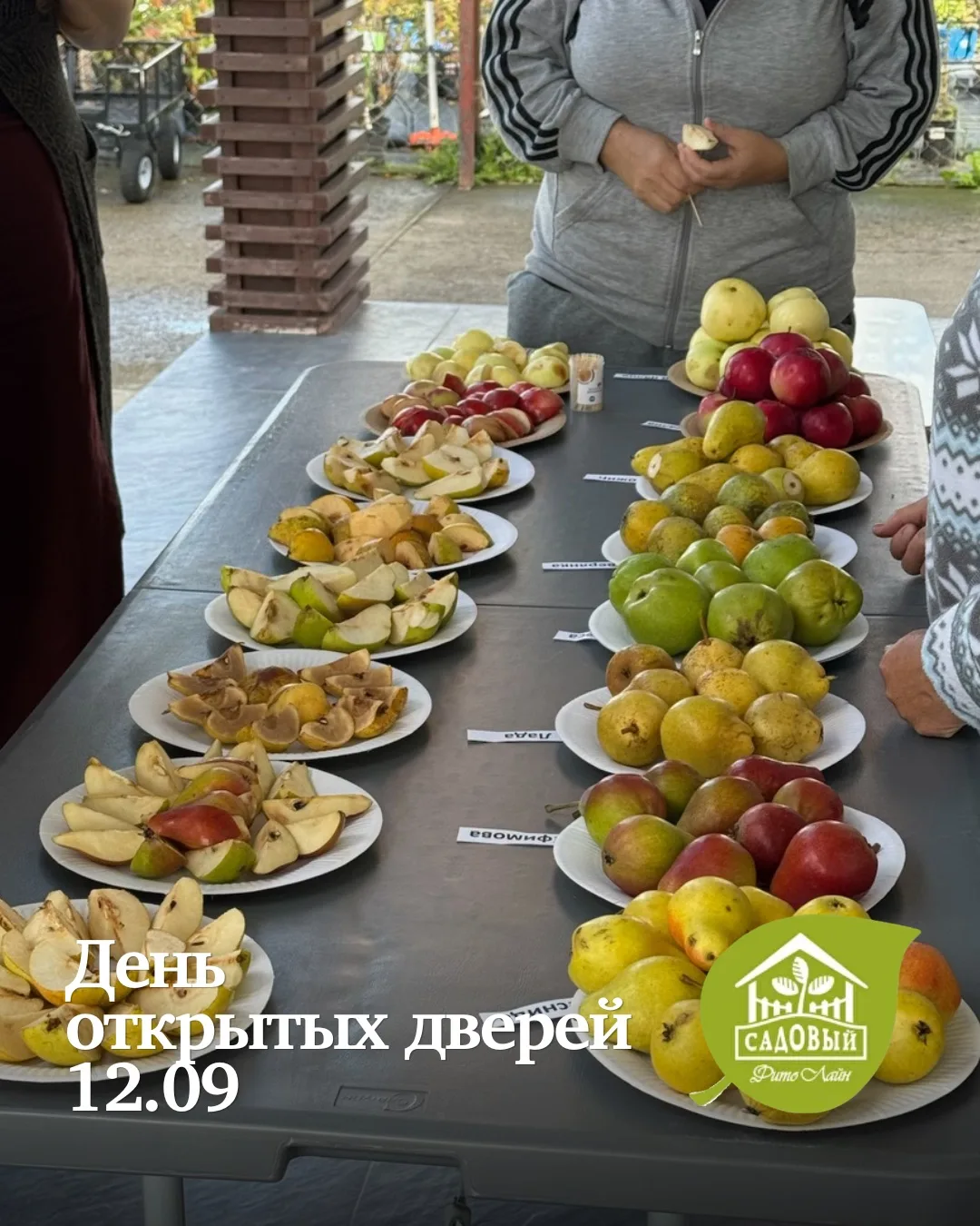 🍎 Продолжаем серию Дней открытых дверей в питомнике «Ивушка»!