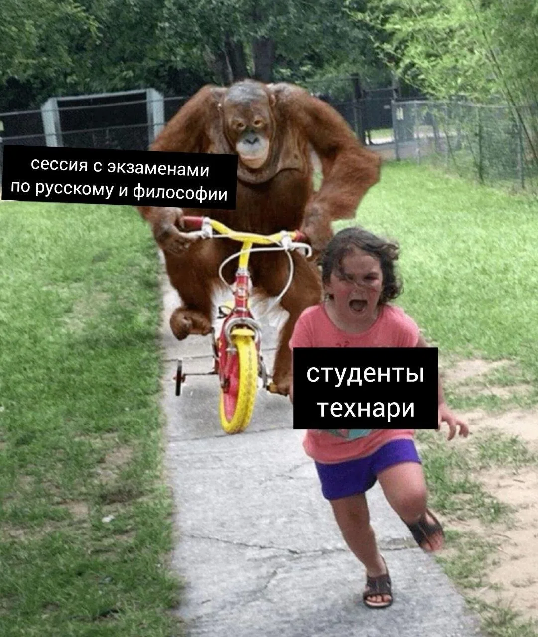 Студентам всех вузов добавят четыре общих обязательных предмета.