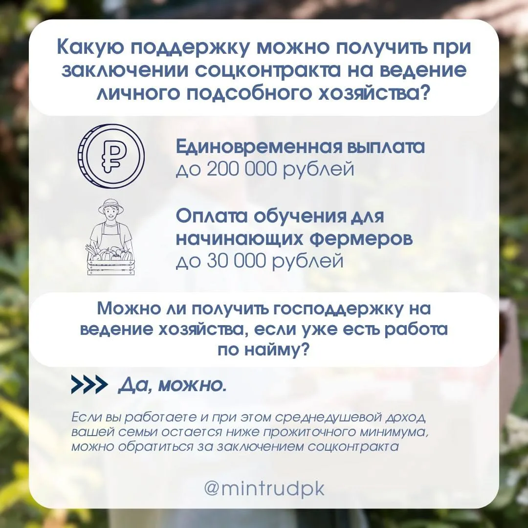 Социальный контракт на ведение личного подсобного хозяйства   Отвечаем на вопросы об условиях заключ