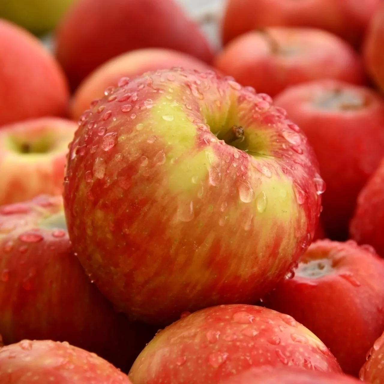 🍏🍎Яблочный Спас — это не только праздник сбора урожая, но и прекрасный повод вспомнит...