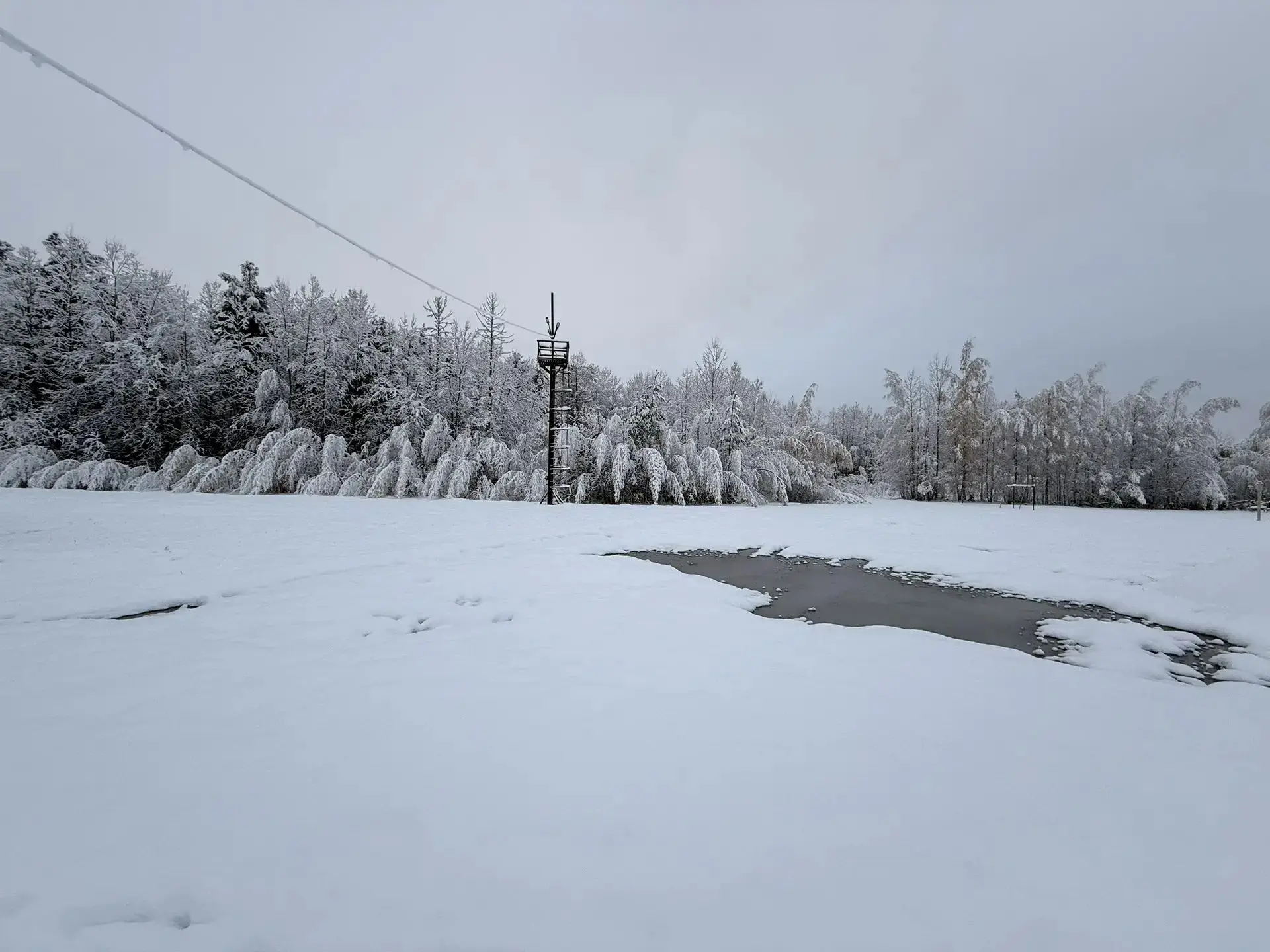 В Нефтеюганске упал снег❄ красиво.