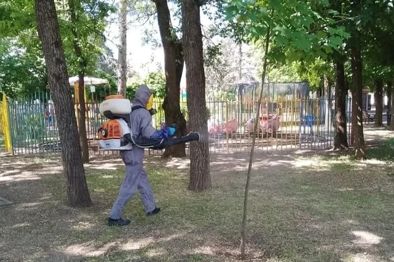 Прогулки отменяются