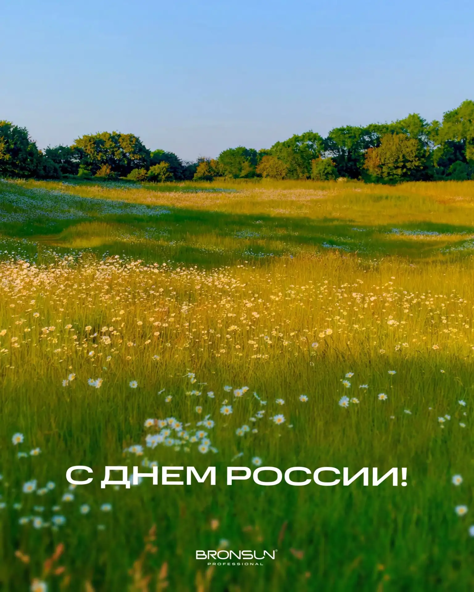 С Днем России! 🤎

Пусть этот день напоминает о том, как важно беречь то, что нас объединяет: доброт