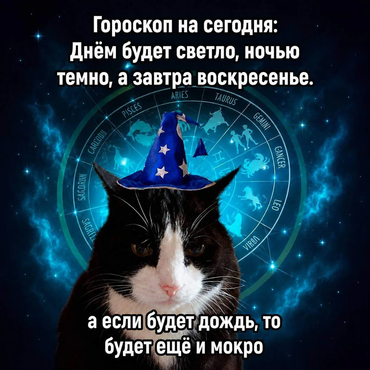 Инсайд, за который аналитики берут деньги

В понедельник утром индекс Мосбиржи откроется в минусе. В