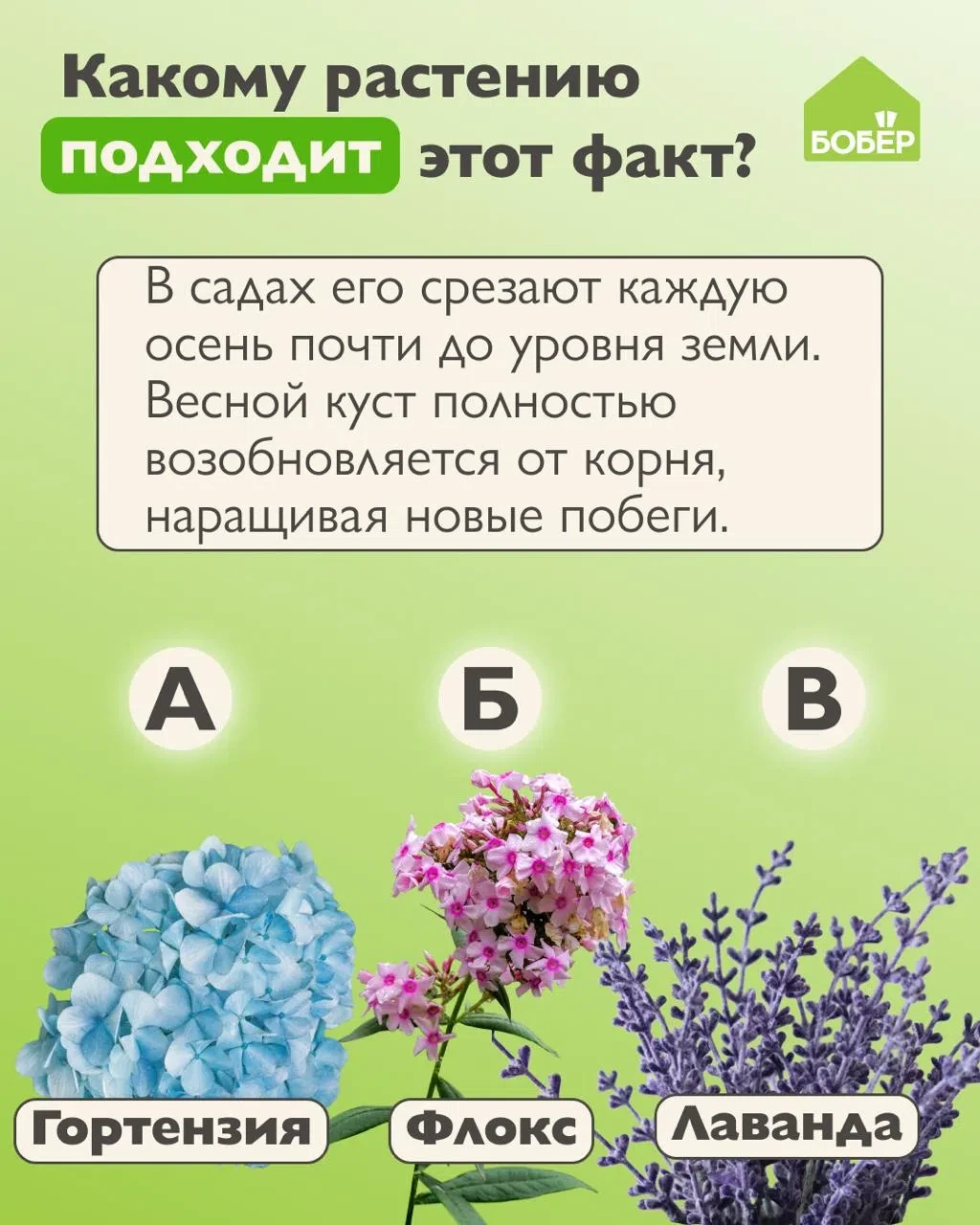 Проверьте свои знания в садоводстве 🌱
