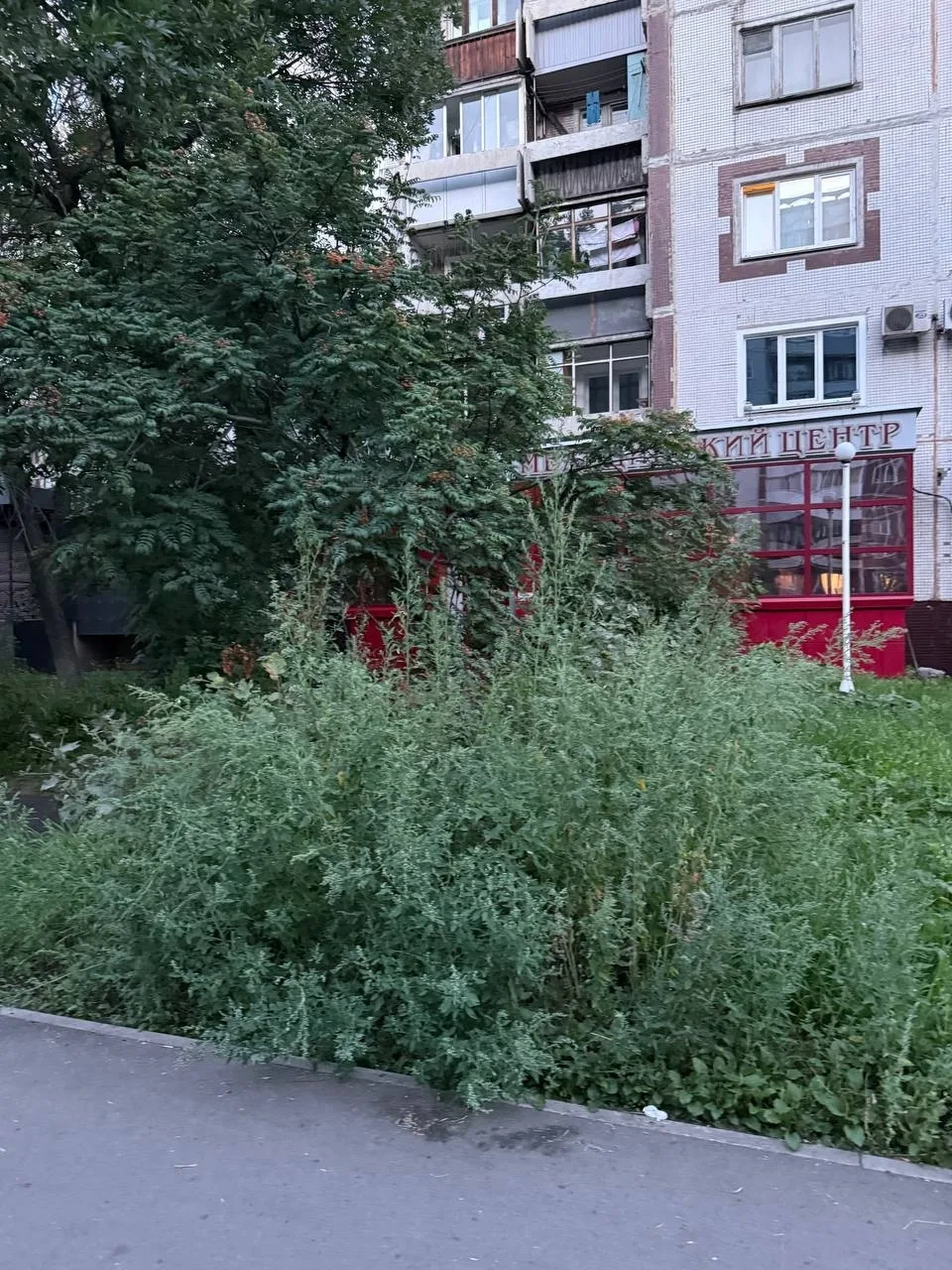 🙄Сквер реконструировали, а про обслуживание забыли 
 
Напомним, пространство ремонтировали в 2026 г