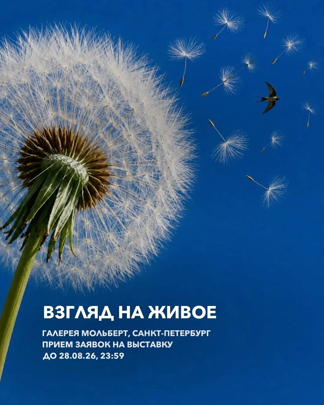 Подача заявок (оpen сall) на выставку «Взгляд на живое»