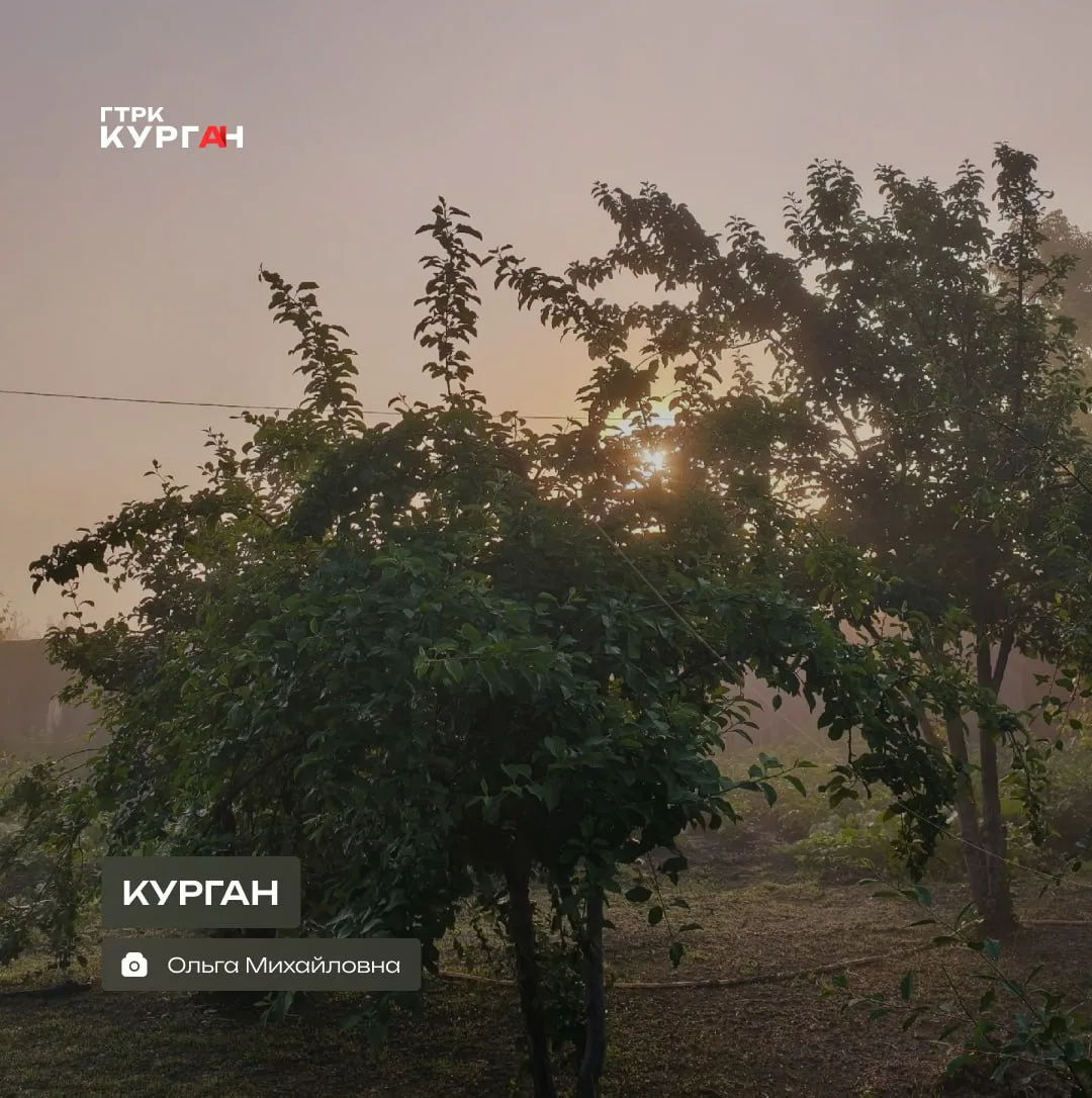🌤 Доброе утро, зауральцы!

Днём в Кургане прогнозируют облачную погоду, возможен дождь. Столбик тер
