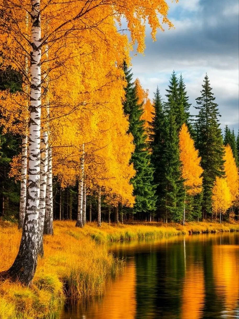 🍂 Красота... 🍂