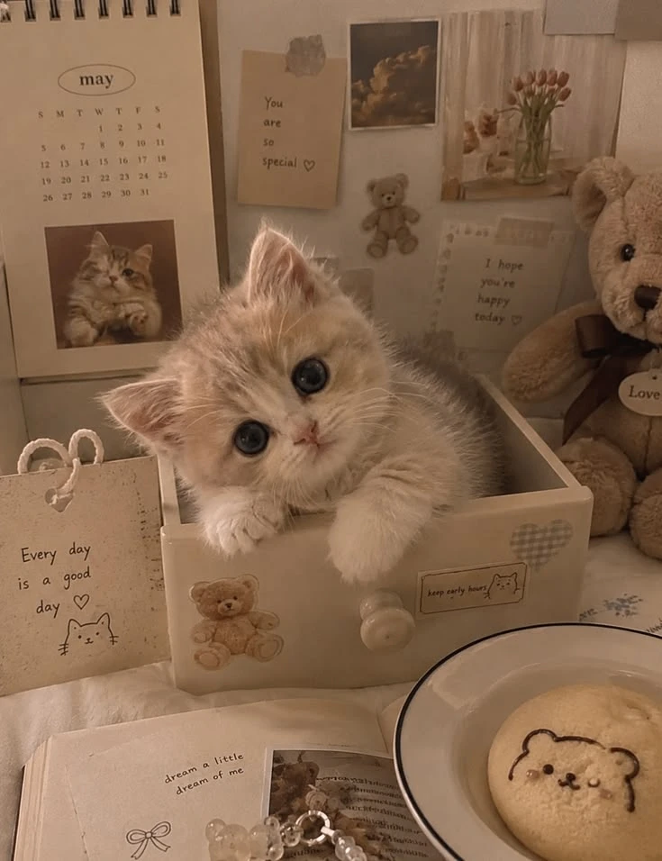 Милые авы с котиками 🥰

давно не было с животными, а котики должны быть всегда!!! 😁

что завтра де