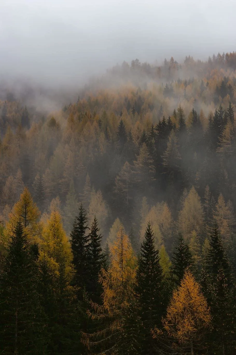 Почему именно октябрь — сезон хюгге 🍂