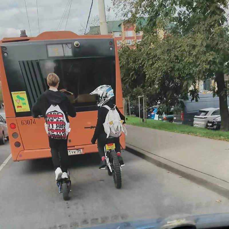 Может родители узнают своих чад?