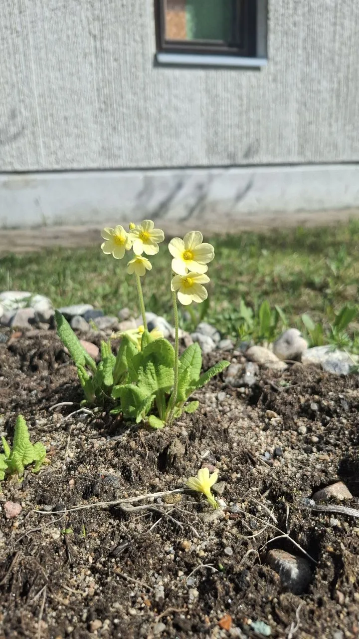 🌞Какая чудесная у нас в этом году весна! 
Раннее пробуждение природы — это всегда море радости, осо