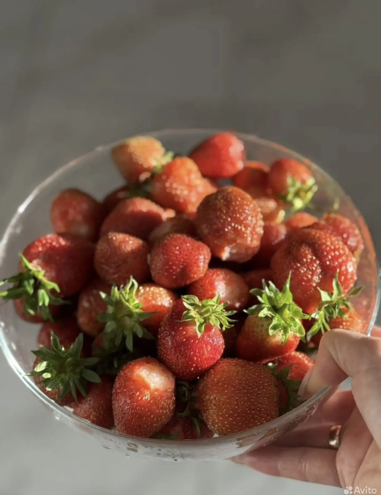 Девочки, кому нужна рассада вкусной клубники. Пишите, у меня её очень много. Освобождаю...
