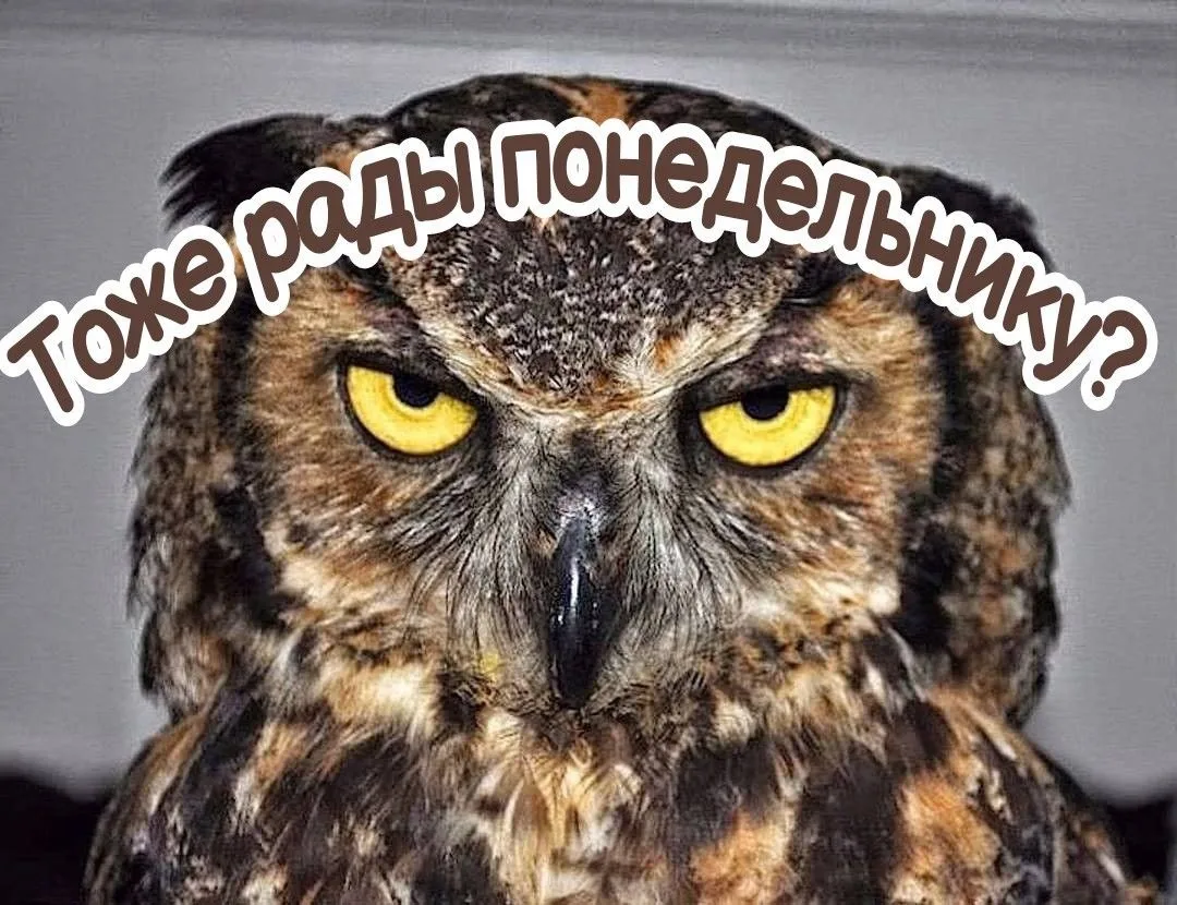🦉🫶🏻 Доброе утро ☕️🤍