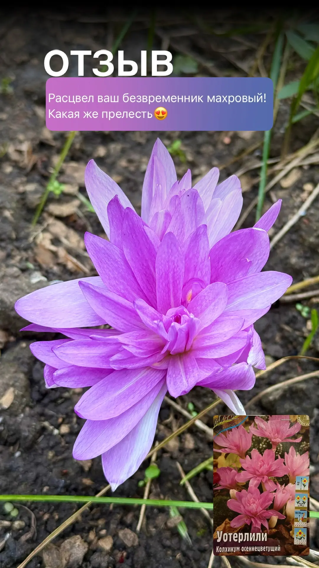 🌿 Ваши фото и отзывы доставляют нам море удовольствия!
