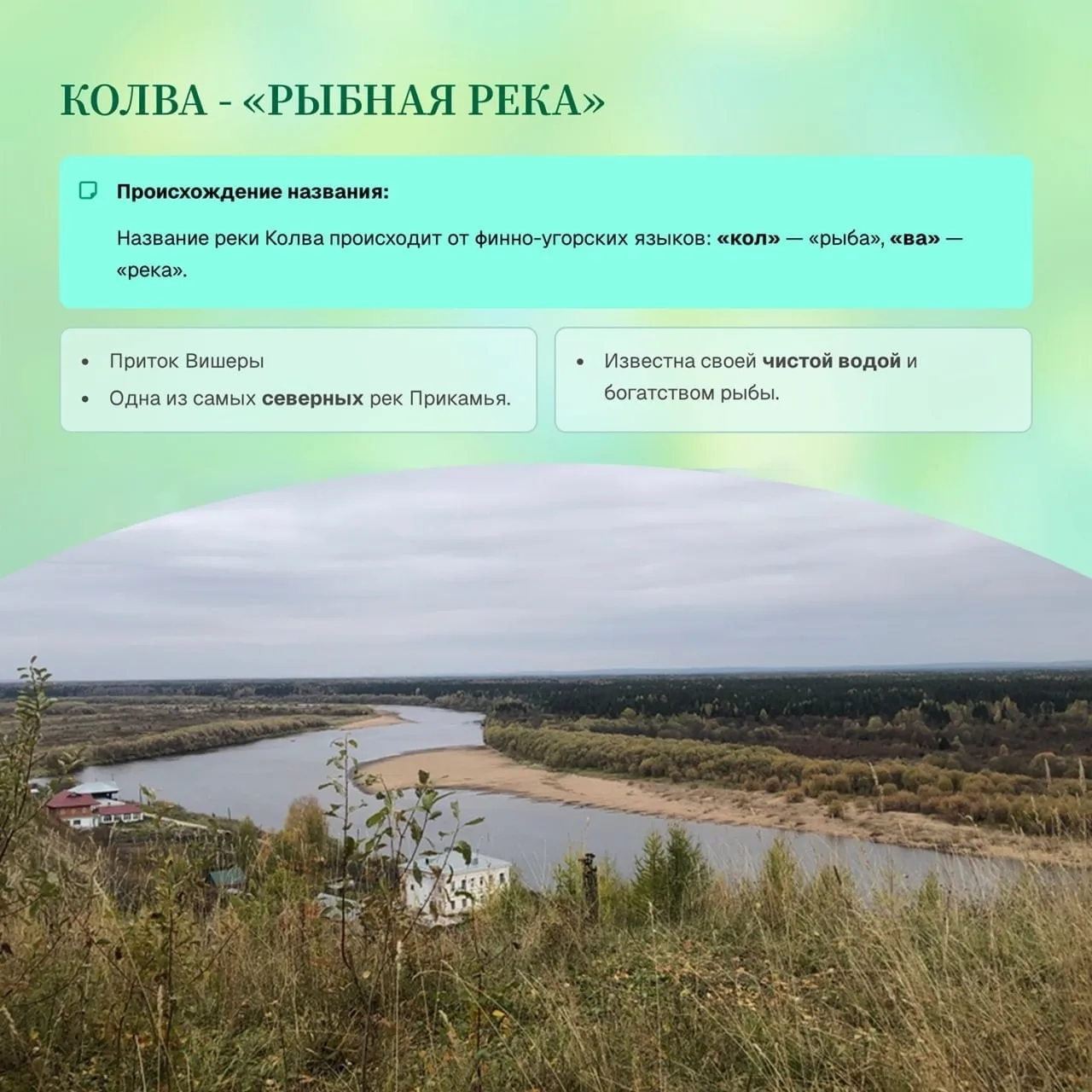 🌊 Что объединяет крупные реки в Пермском крае?  Школьники из Гимназии №2 г. Перми в рамках проекта «