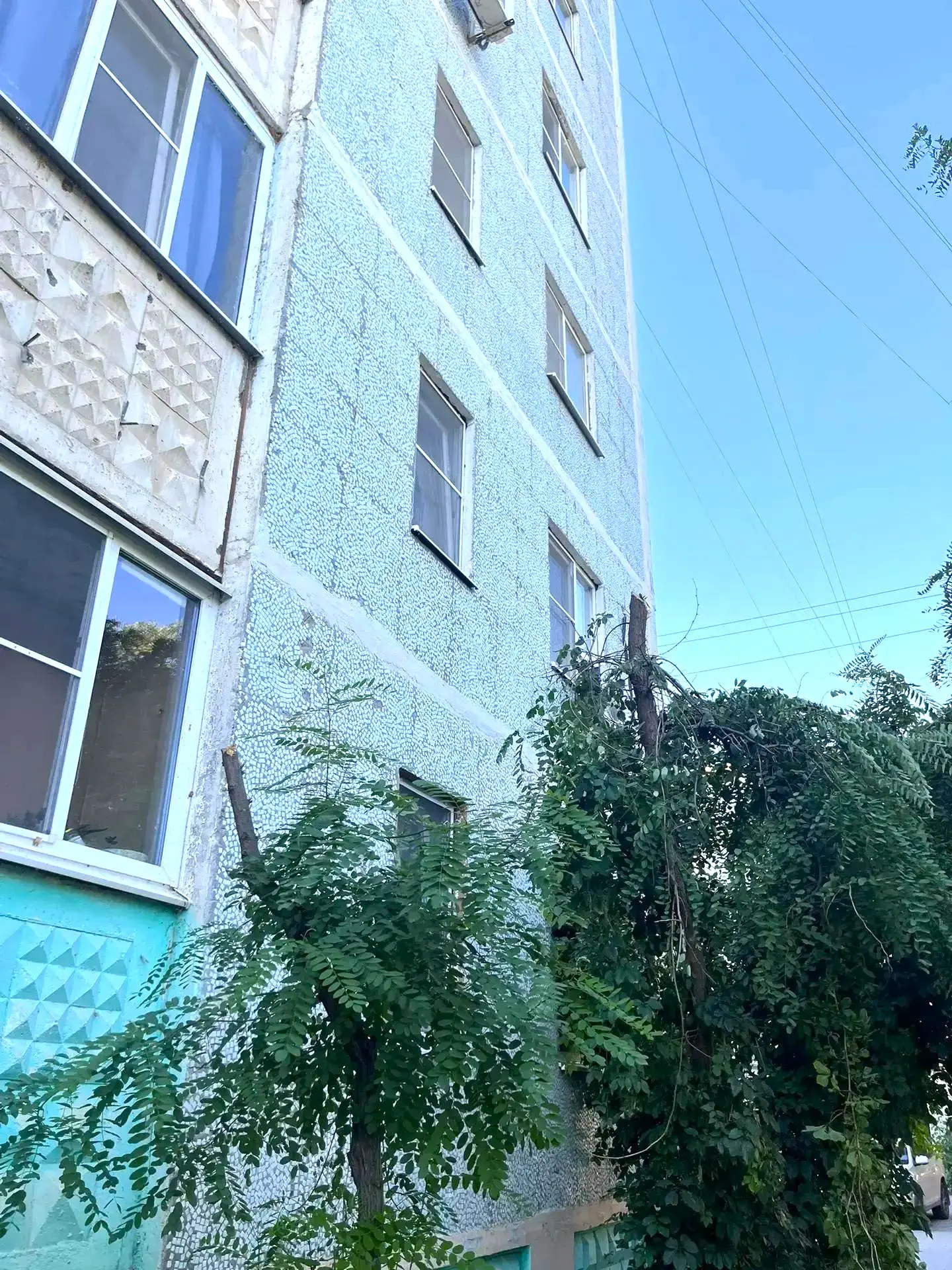 К новости «Никаких преград 🌳»