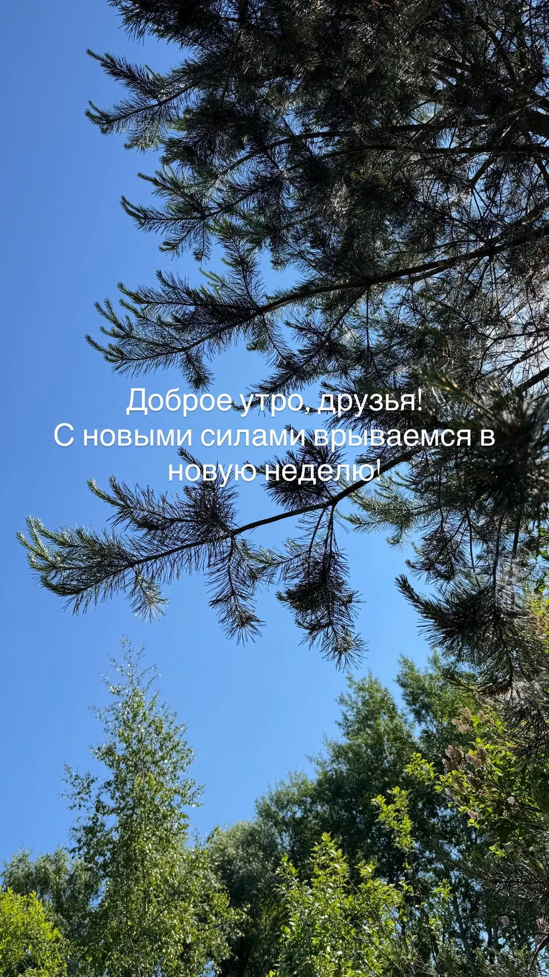 Дизайн интерьера в Туле | Студия Екатерины Рудюк

Мой номер: +79202754275
Написать мне