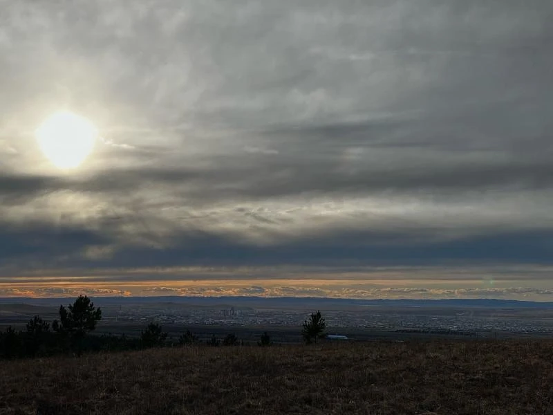 В Борзе на месте пустующего участка площадью 2,26 га создадут новый парк «Наши Черёмушк...