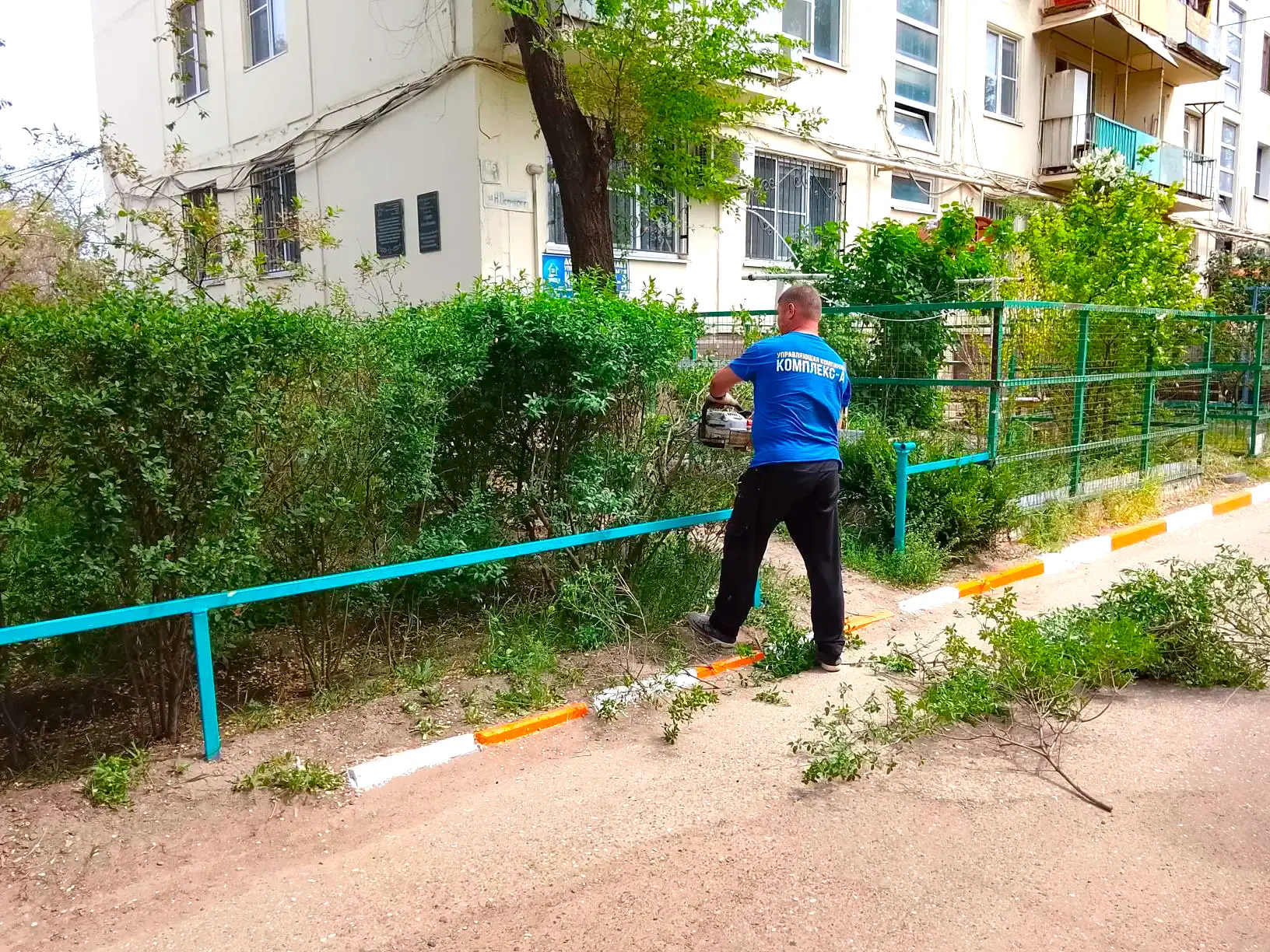 К новости «🌿 Зеленая геометрия двора!»
