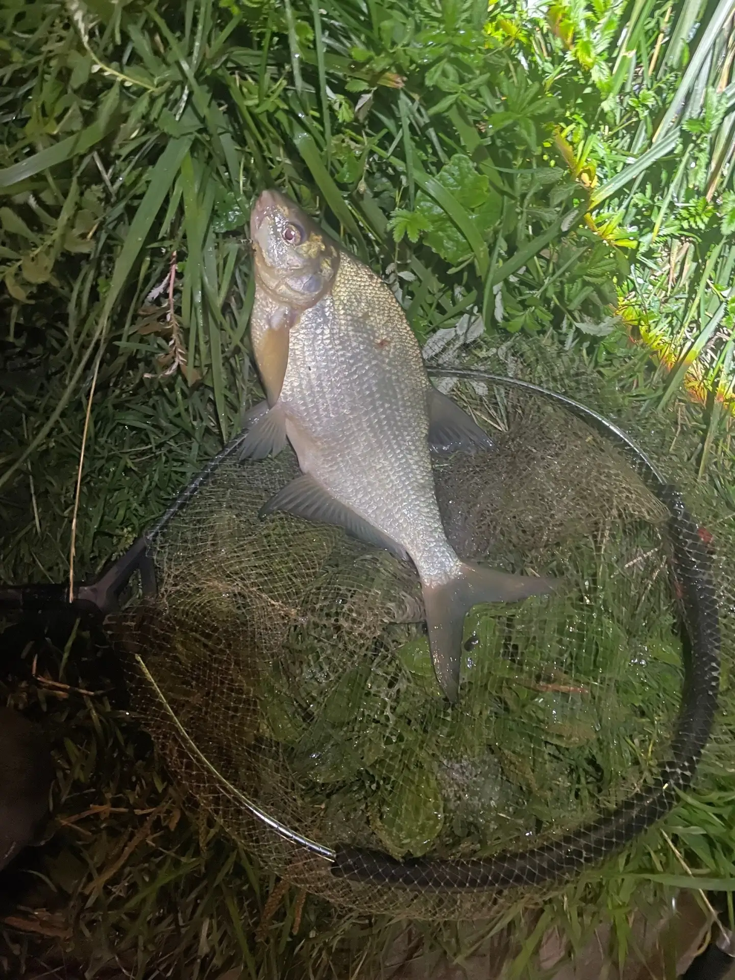 Дудергофский канал с 22:00 до 5 утра 🎣