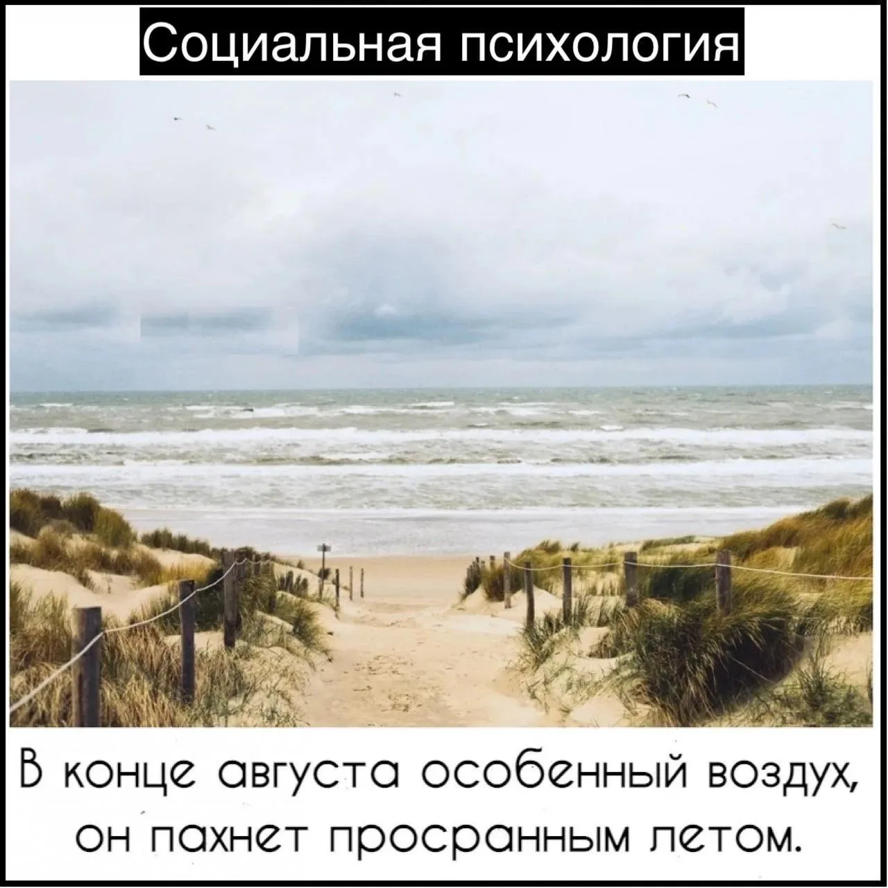 - Разве лето не навсегда?
