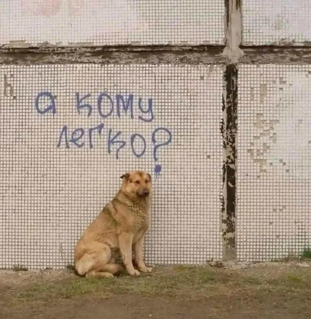 😍 Доброе утро! Сегодня слабый дождь · +1⁠…⁠+5⁠° · слабый ветер 3⁠–⁠4 м⁠/⁠с, порывы до ...