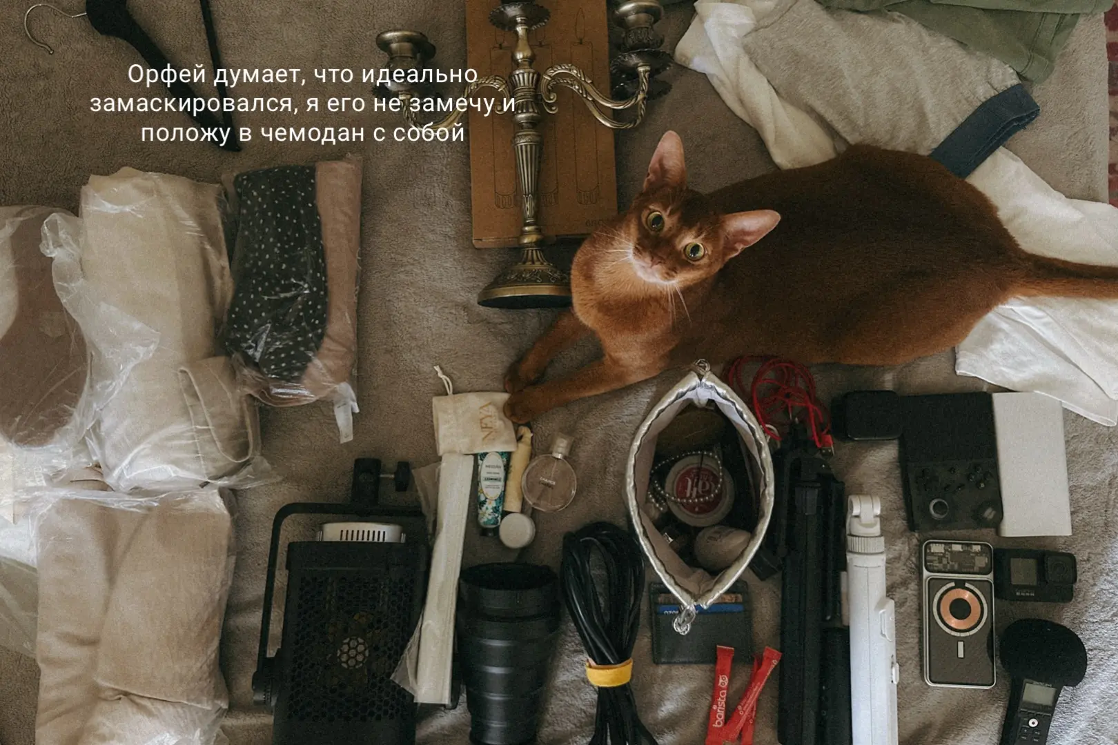 Вот так всегда ... Как сборы, так начинается... Ну нельзя вам со мной! Я быстро выступл...