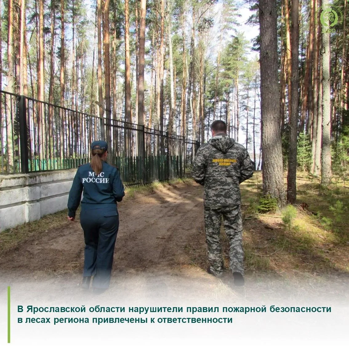 С начала пожароопасного сезона лесные инспекторы Ярославской области провели более 4 00...