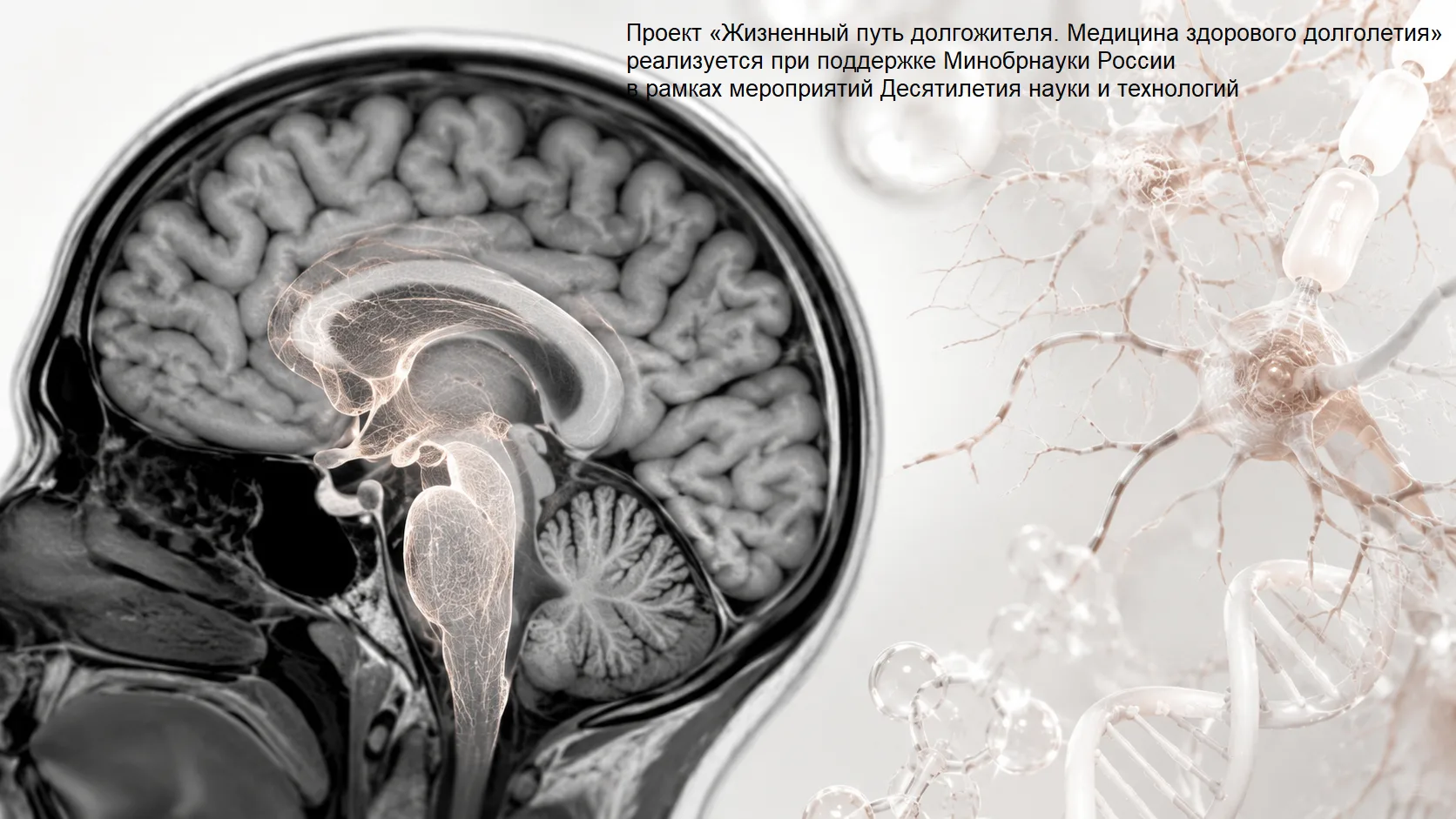 #новостинауки
  
📝 ТЕМП СТАРЕНИЯ МОЖНО ИЗМЕРИТЬ ПО ОДНОМУ СНИМКУ МРТ МОЗГА
  
Учёные разработали но