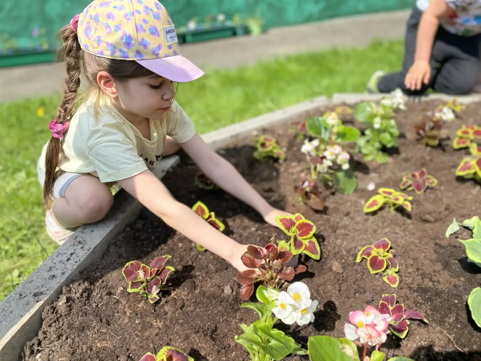 🌺🌺🌺 Цветущие мечты выпускников 🌺🌺🌺  🌸 Важная и трогательная акция от наших выпускников подготовитель