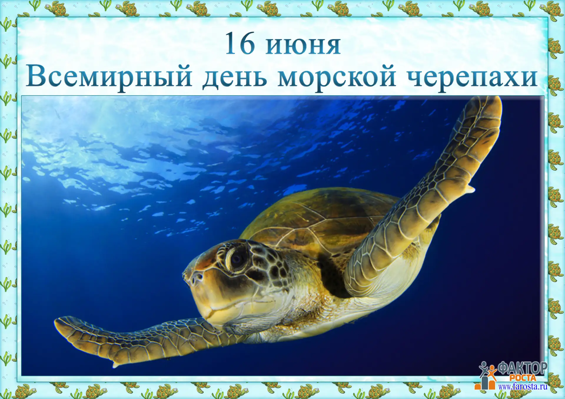 16 июня отмечается Всемирный день морской черепахи. Этот праздник учреждён в 2000 году.