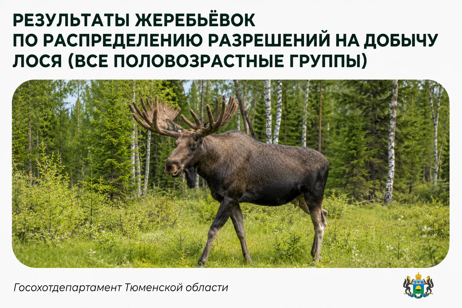 📢 Опубликованы протоколы результатов жеребьёвок по распределению разрешений на добычу ...