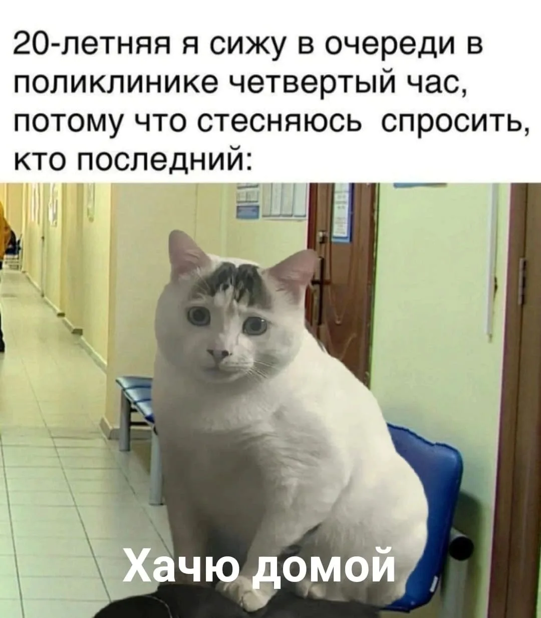 Доктор, да я просто похудел  Наш организм умная машина. Он редко делает что-то «просто так».  Вот ва