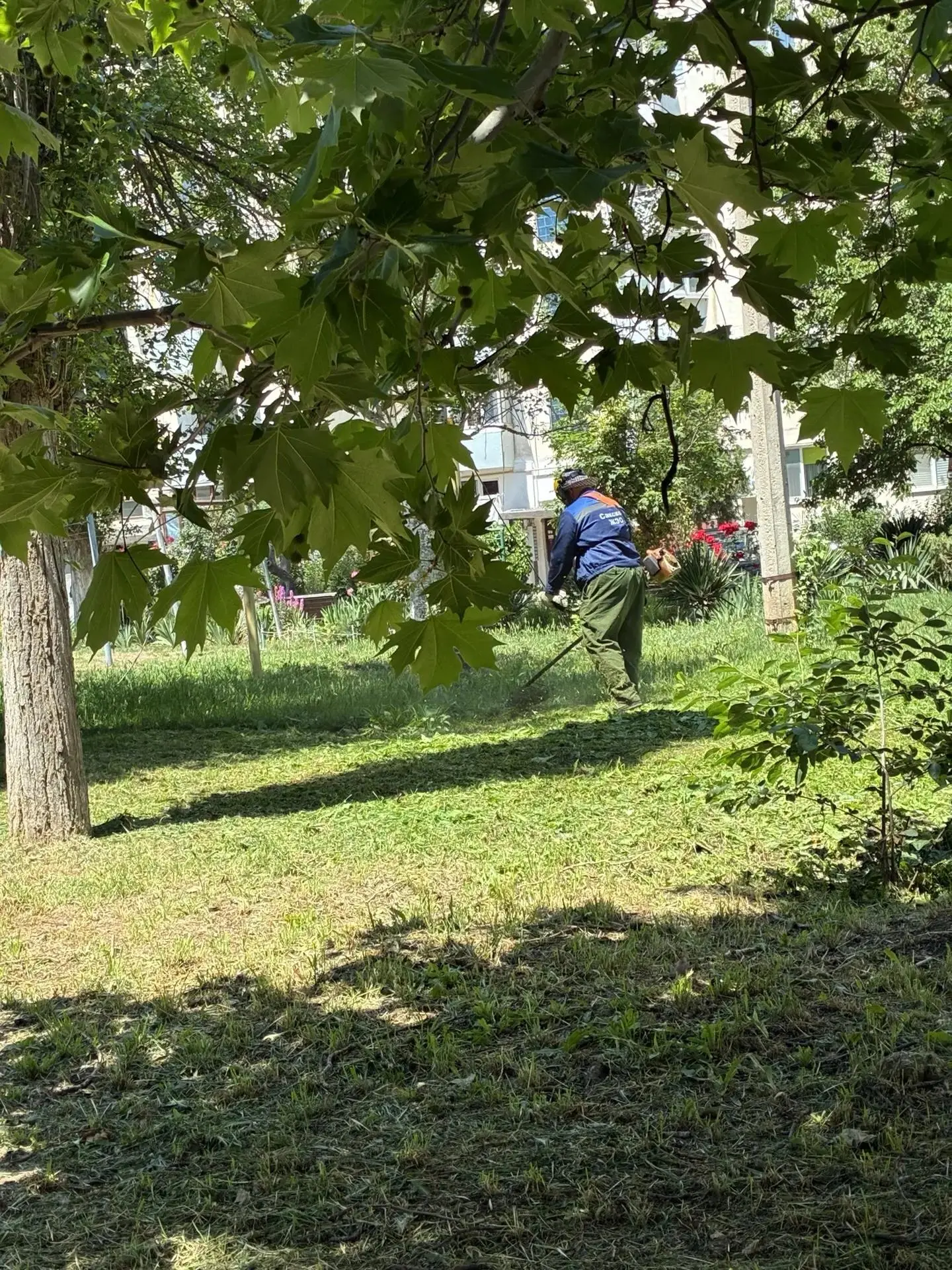 Покос травы 08.06.26 г. по ул.Строительная 20