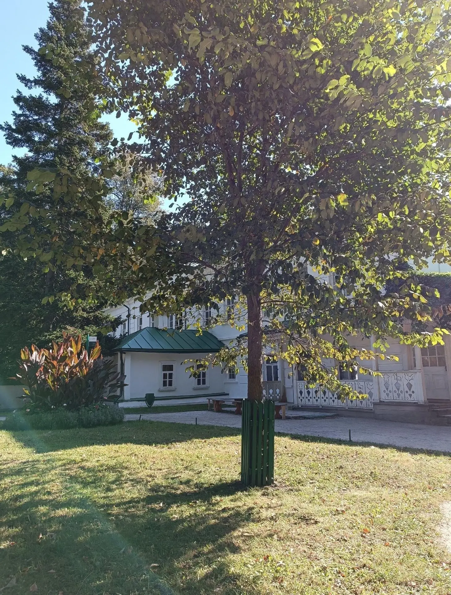 Ясная Поляна, Тульская область.