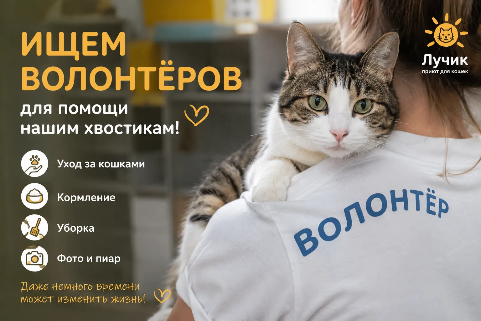 Приют ЛУЧИК ищет ВОЛОНТЕРОВ!!!