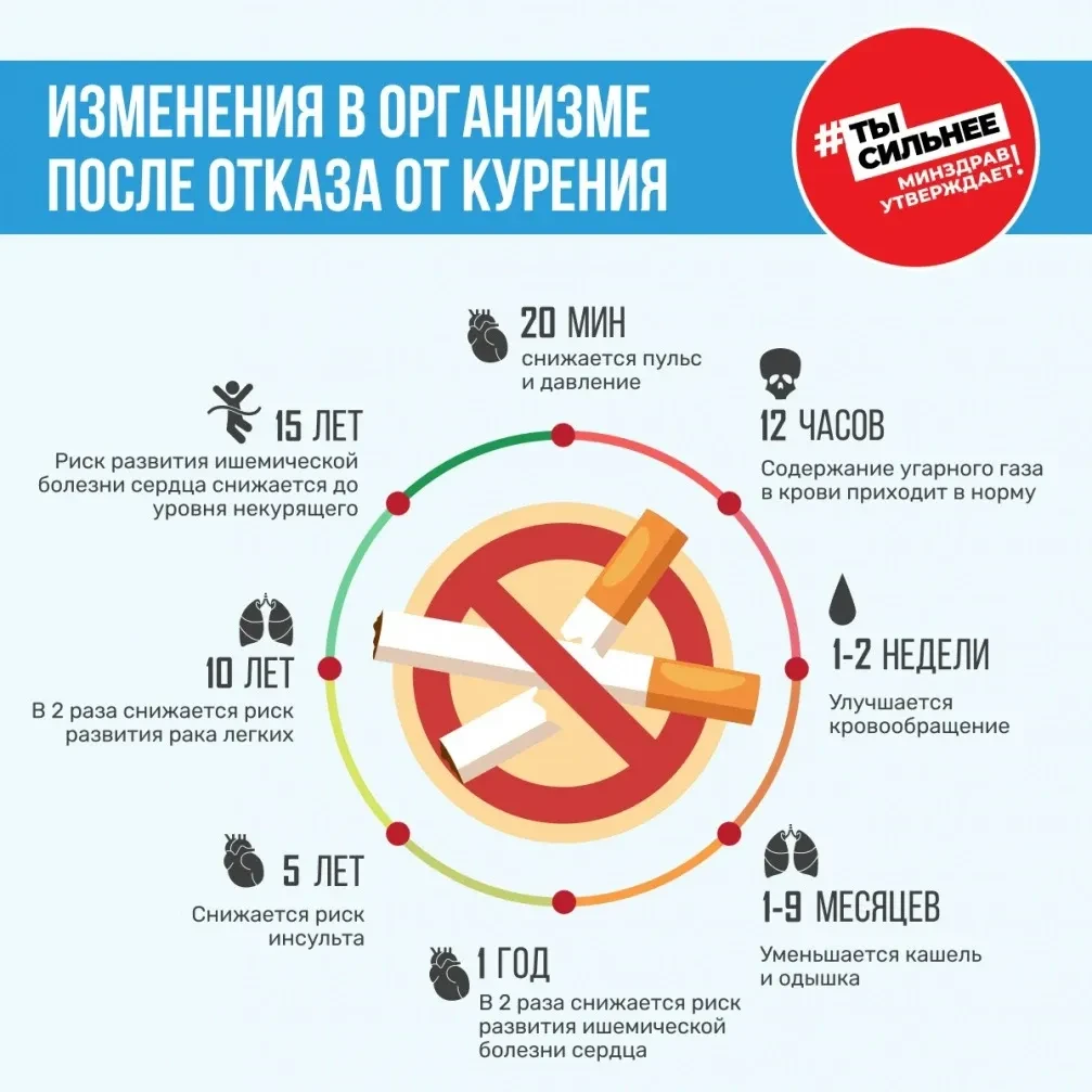 ❗Какие изменения происходят в теле человека, который бросил курить