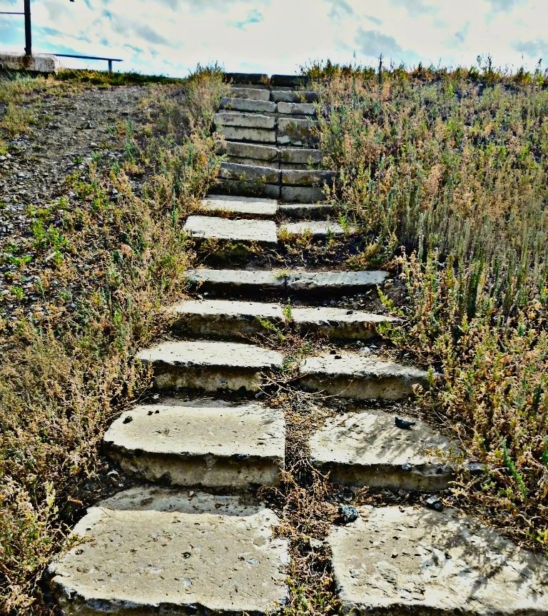 Присылайте Ваши фото в "Предложить пост"