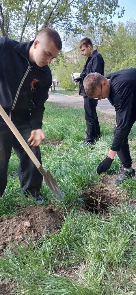 Активисты Движения Первых МБОУ СОШ 15 с гордостью приняли участие в акции "Сад Памяти". По всей Росс