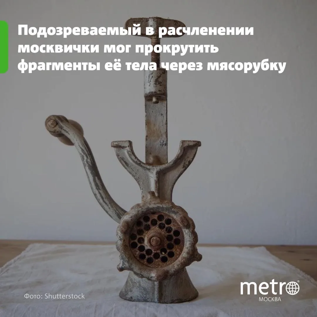 🔞 Новые подробности в деле о расчленении москвички – что известно