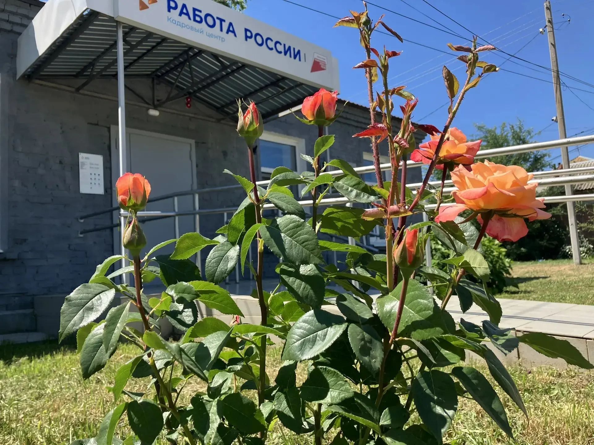 Прогноз погоды на 14 июня 2026 года

Днём 14 июня местами по Саратовской области ожидается гроза, пр