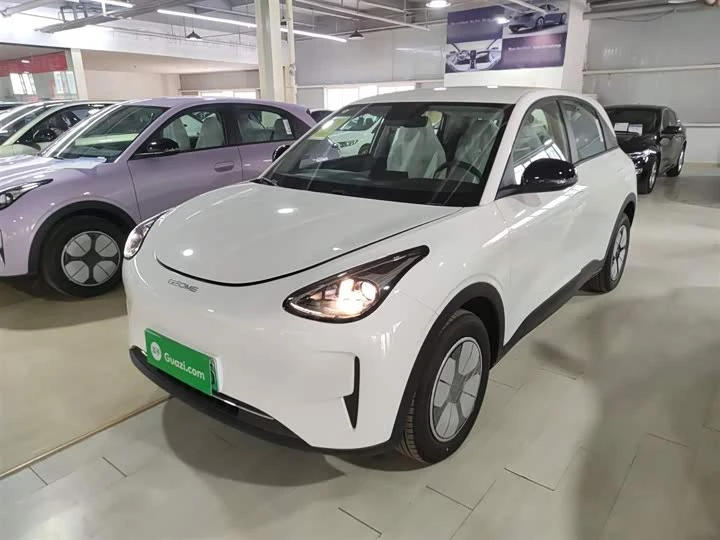 🚘Geely Galaxy Star Wish 310 km Youth Edition